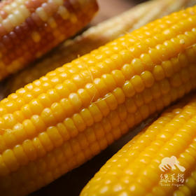 生态黄糯玉米 | 合作生产*Ecological Yellow waxy corn | Coproducted