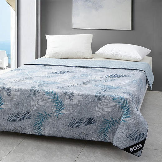 【分仓直发包邮】HUGOBOSS蚕丝蛋白纤维印花被 HBXW-055S 商品图2