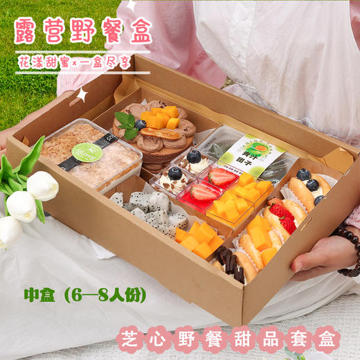 露营野餐甜品盒【中盒】（6-8人份） 商品图1