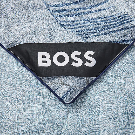 【分仓直发包邮】HUGOBOSS蚕丝蛋白纤维印花被 HBXW-055S 商品图5