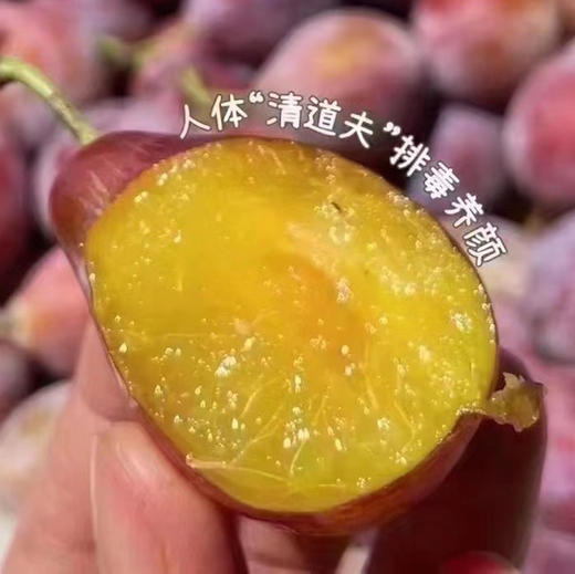 智利甜西梅 商品图4