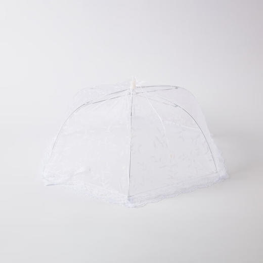 食物罩L 商品图0