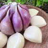 【大理紫皮鲜蒜】独头蒜&三瓣蒜&多瓣蒜，三款任君选择💥只选精品鲜蒜❗️  现挖现发！ 商品缩略图1