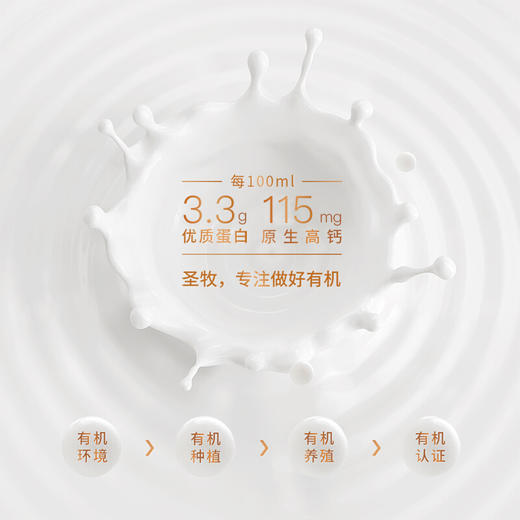 圣牧有机纯牛奶（品醇）200ml*12 商品图5