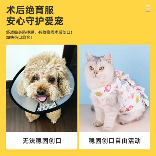 猫咪绝育服 绑带式一体 母猫绝育术后防护服多尺寸 商品图1
