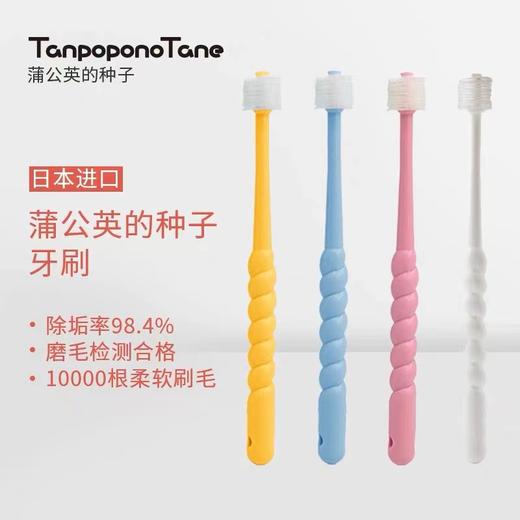 【中欧班列精选】  日本蒲公英的种子牙刷 原装进口蒲公英360度旋转细密清洁去垢成人儿童婴儿极细软毛清洁 /支 商品图3
