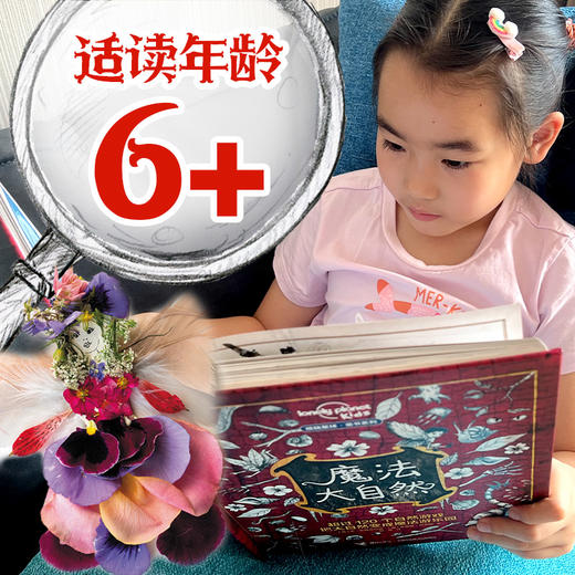 魔法大自然:孤独星球·童书系列  接力社 商品图7