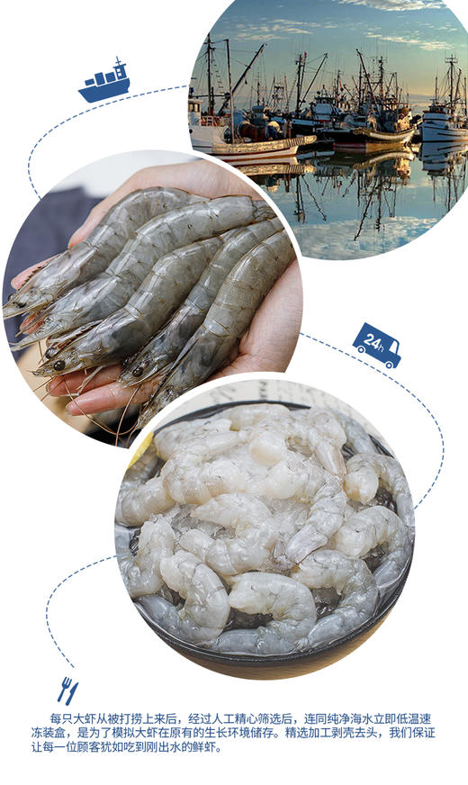广东湛江 青虾仁 ‘’中国虾之都'' 头牌特色 商品图2