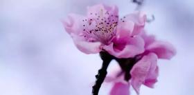  春天即将过半，赶快这样做，能够预防夏季常见病！ 