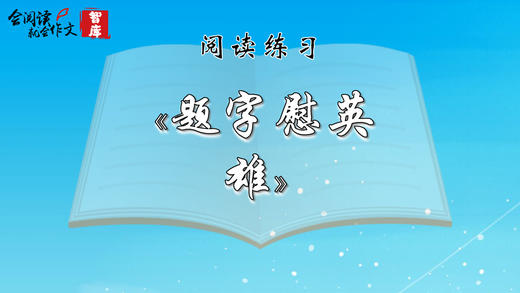 阅读练习：《题字慰英雄》 商品图0