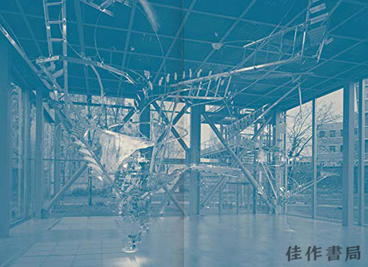 Sarah Sze: De nuit en jour / Night into Day: Afterimage / 莎拉·施：白天黑夜：残像 美国当代艺术家 商品图3