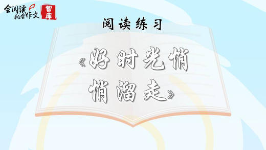 阅读练习：《好时光悄悄溜走》 商品图0
