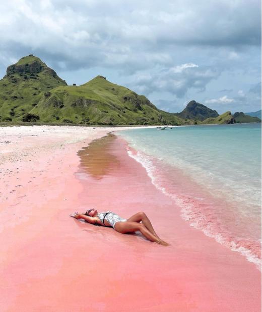 印尼 科莫多+泗水 “地月生物之旅” 6天 商品图0