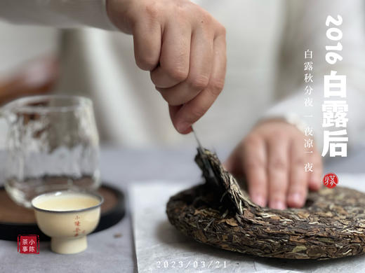 【会员重磅推荐】7年陈的老白茶《2016白露后》限量推出，枣香浓郁，香气惊艳！ 商品图5