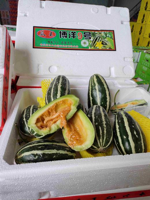 博洋九号蜜瓜一箱约7斤左右 商品图0