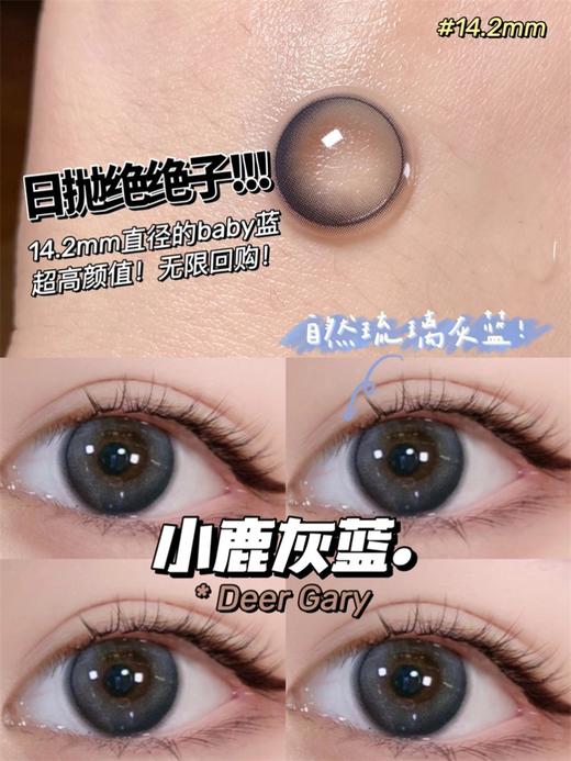 正品日抛 jojocon系列奈良鹿灰蓝美瞳 |直径14.2着色13.79 新国货 商品图4