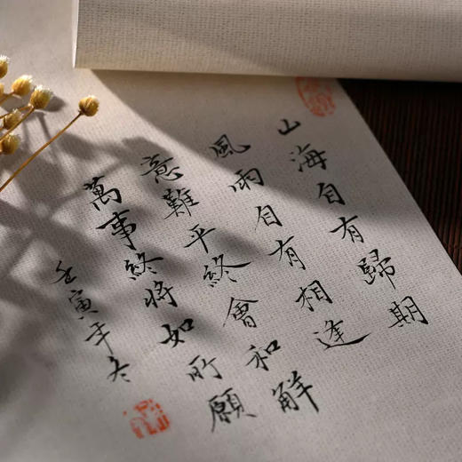 【庆学堂】暗香疏影彩绘笺信笺纸 书法练习纸 创作纸 半生熟纸性 商品图1