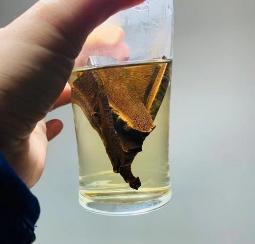 黑灵芝片250g 商品图3