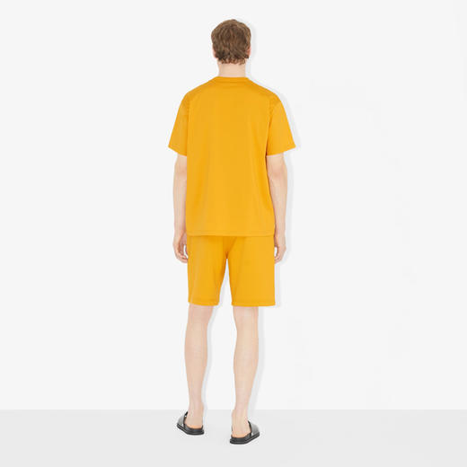 BURBERRY 巴宝莉 男士字母徽标印花棉质平织圆领短袖T恤 黄色 8065396 A4029 商品图3
