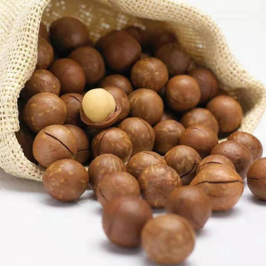 夏威夷果奶香味500g 商品图2