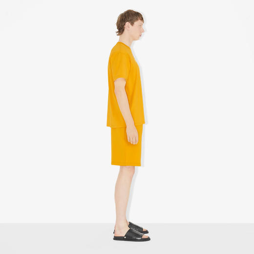 BURBERRY 巴宝莉 男士字母徽标印花棉质平织圆领短袖T恤 黄色 8065396 A4029 商品图2