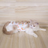 猫咪绝育服 绑带式一体 母猫绝育术后防护服多尺寸 商品缩略图2