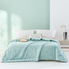 【钱皇】夏季雪顶蚕丝被聚乳酸被，双宫茧桑蚕丝，亲肤透气，对肌肤很友好，取自钱皇自建桑园6A级双宫茧桑蚕丝，被誉为“纤维皇后”，人体第二肌肤，亲肤透气，柔软贴身，盖在身上清爽不闷热 商品缩略图0