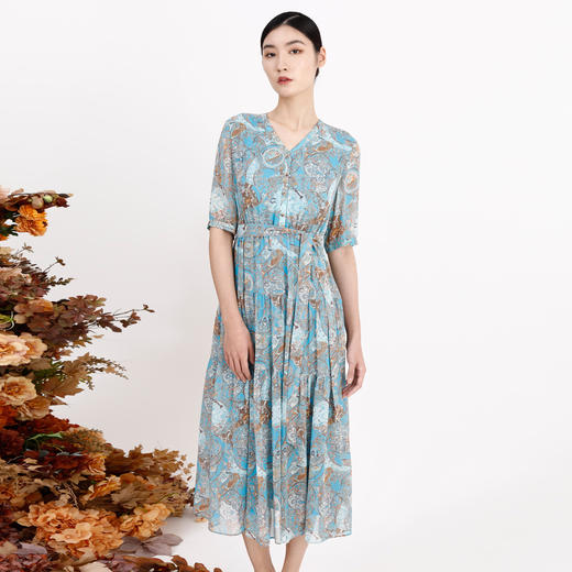 戴布拉芬连衣裙L26B556 商品图1