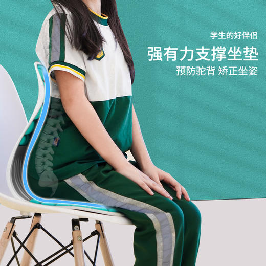 思菲其护腰矫姿坐垫S04 格子款花瓣坐垫矫正坐姿办公室护腰久坐神器学生预防驼背椅垫 商品图11
