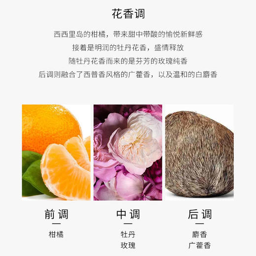 Miss Dior迪奥小姐花漾甜心淡香水5ml 小样Q版优雅浪漫迷人 商品图5