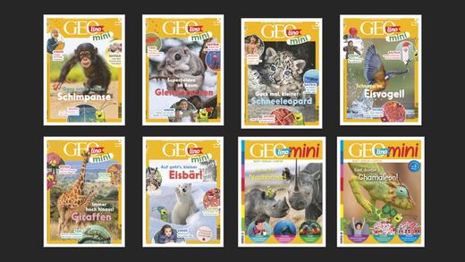 Geomini- 2023 Jahrgang 商品图0