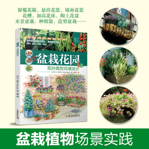 盆栽花园——阳台微型花境设计（庭要素） 商品图2