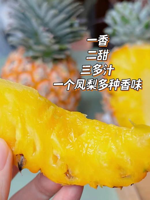 【顺丰包邮到家】【芒果凤梨和金钻凤梨任选】️汁水成蜜️不用挖眼的好凤梨‼️基地直邮 商品图0