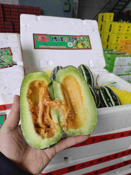 博洋九号蜜瓜一箱约7斤左右 商品图1