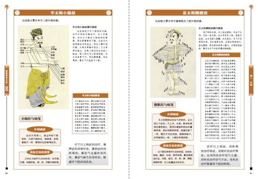 白话版：图解黄帝内经·灵枢 商品图3