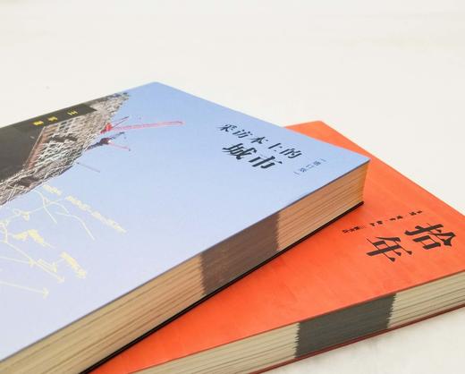 《采访本上的城市（增订本）》《拾年》，16开，王军著，三联书店2016-2020年版，两册总定价146，售价65元。品相95成。 商品图1