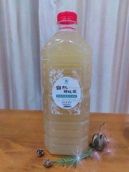 丨生态丨松柏籽洗发水500ml/瓶 chun植物chun 天 然 商品图4