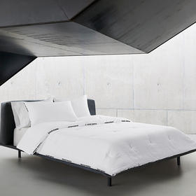 【分仓直发包邮】BOSS HB Logo立体纤维被HBXW-056