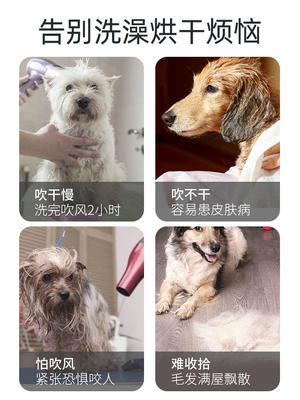宠物烘干袋狗狗洗澡神器烘干箱狗狗专用吹风机吹干拉毛一体吹毛 商品图4