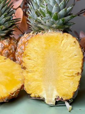 海南凤梨一件6-7个约18斤  甜蜜多汁