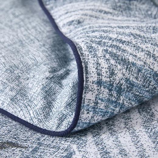 【分仓直发包邮】BOSS蚕丝蛋白纤维印花被HBXW-055L 商品图1