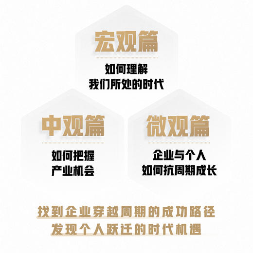 大周期 不确定时代的确定性生存法则 正和岛著宋志平彭凯平作序推荐经济周期投资重要的事底层逻辑金线 商品图1