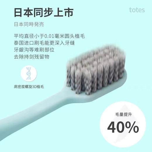 日本TOTES进口牙刷螺旋刷毛环保可降解玉米淀粉牙刷大刷头牙刷 商品图3