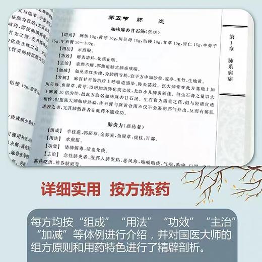 国医大师专病验方集 商品图2