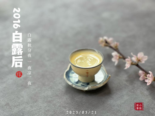 【会员重磅推荐】7年陈的老白茶《2016白露后》限量推出，枣香浓郁，香气惊艳！ 商品图12