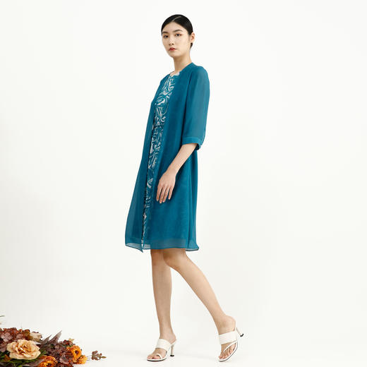 戴布拉芬连衣裙L26B559 商品图0