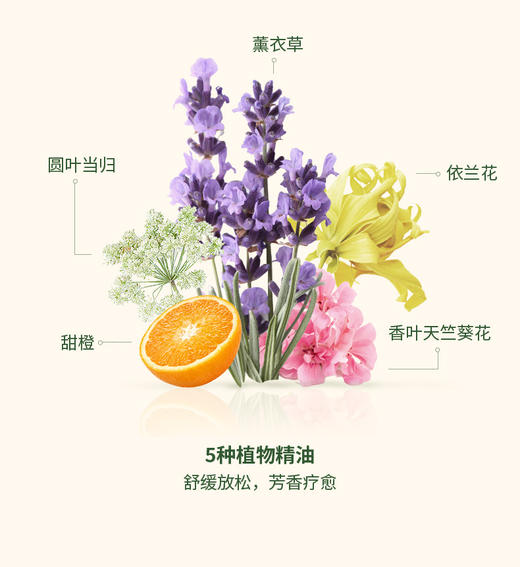 【国庆秒杀】欧舒丹草本5合1精华洗发水50ml*2 商品图4
