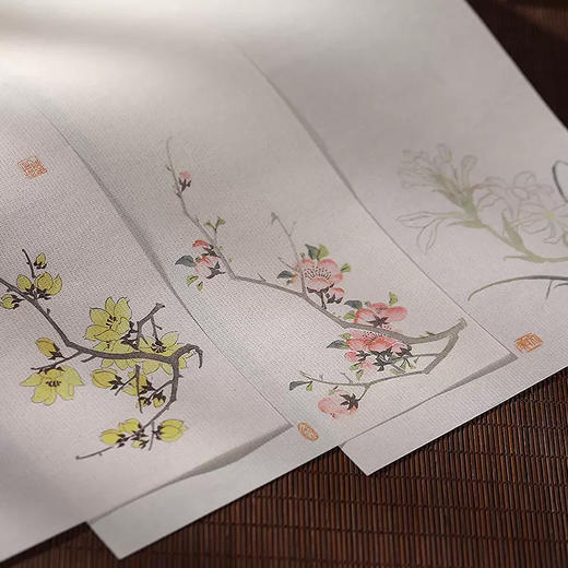 【庆学堂】暗香疏影彩绘笺信笺纸 书法练习纸 创作纸 半生熟纸性 商品图3