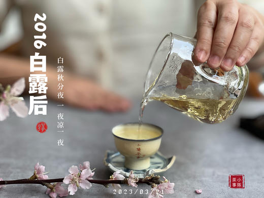 【会员重磅推荐】7年陈的老白茶《2016白露后》限量推出，枣香浓郁，香气惊艳！ 商品图11