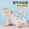 猫咪绝育服 绑带式一体 母猫绝育术后防护服多尺寸 商品缩略图0
